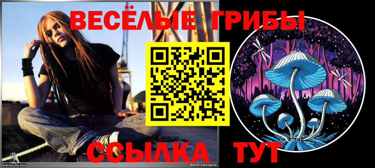 Михайловск  Галлюциногенные грибы мухоморы  Вход с VPN  Галлюциногенные грибы Psilocybine cubensis 